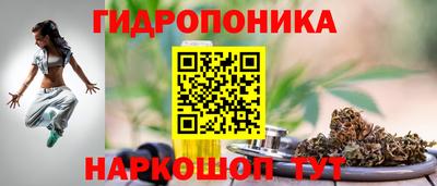 мдпв Мариинск