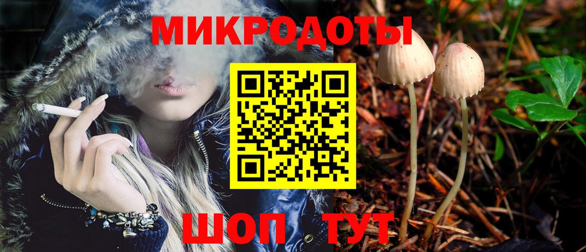 Гусев  Галлюциногенные грибы Psilocybine cubensis  Вход с VPN 