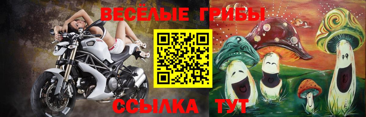 Галлюциногенные грибы GOLDEN TEACHER Гусев